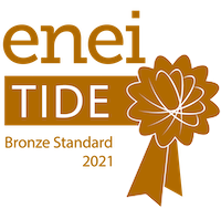 Tide Bronze Award Logo