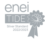 enei silver award logo