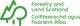 The organisation logo for Forestry and Land Scotland